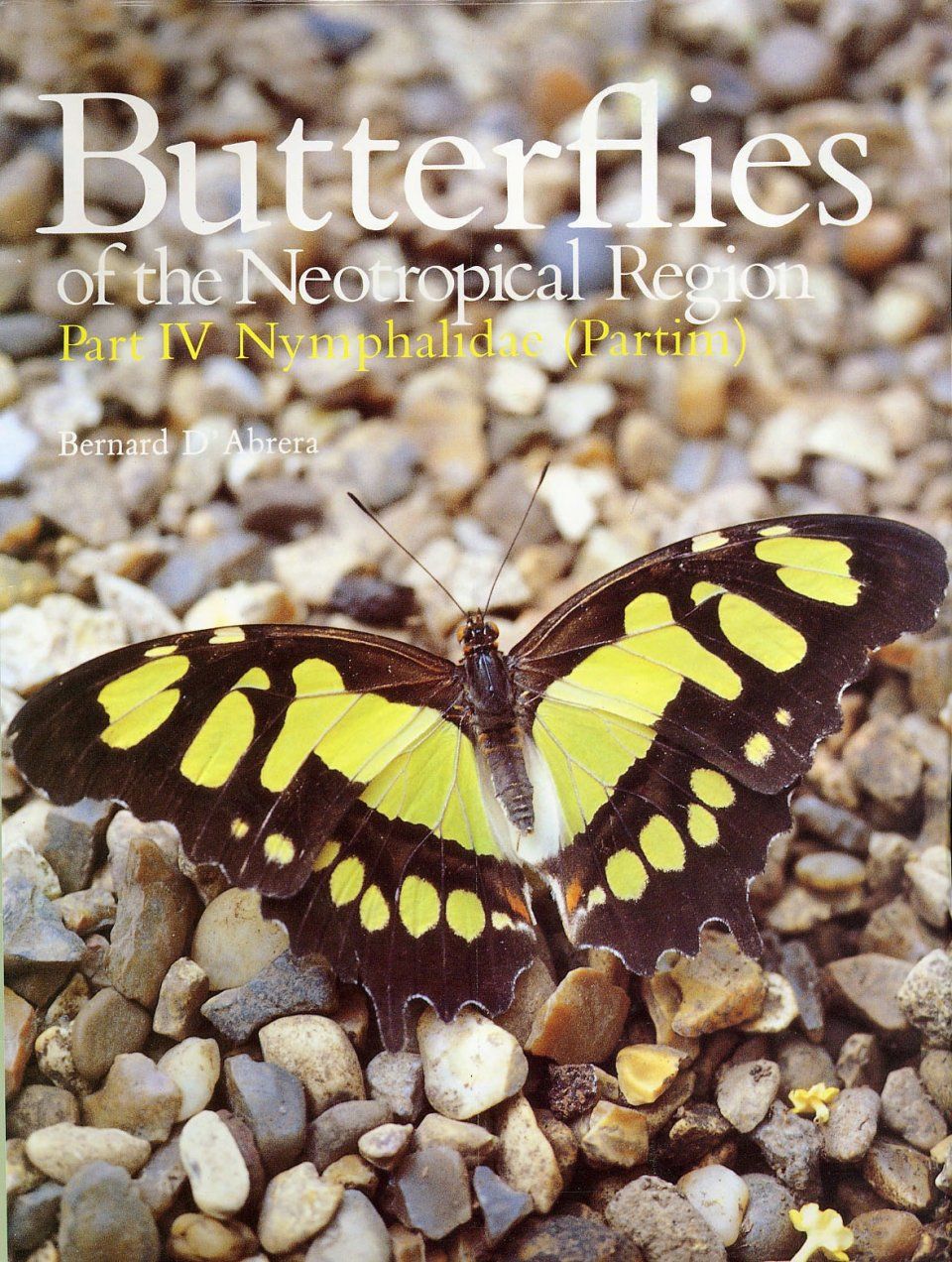 Butterflies of the Neotropical Region, Part 4
