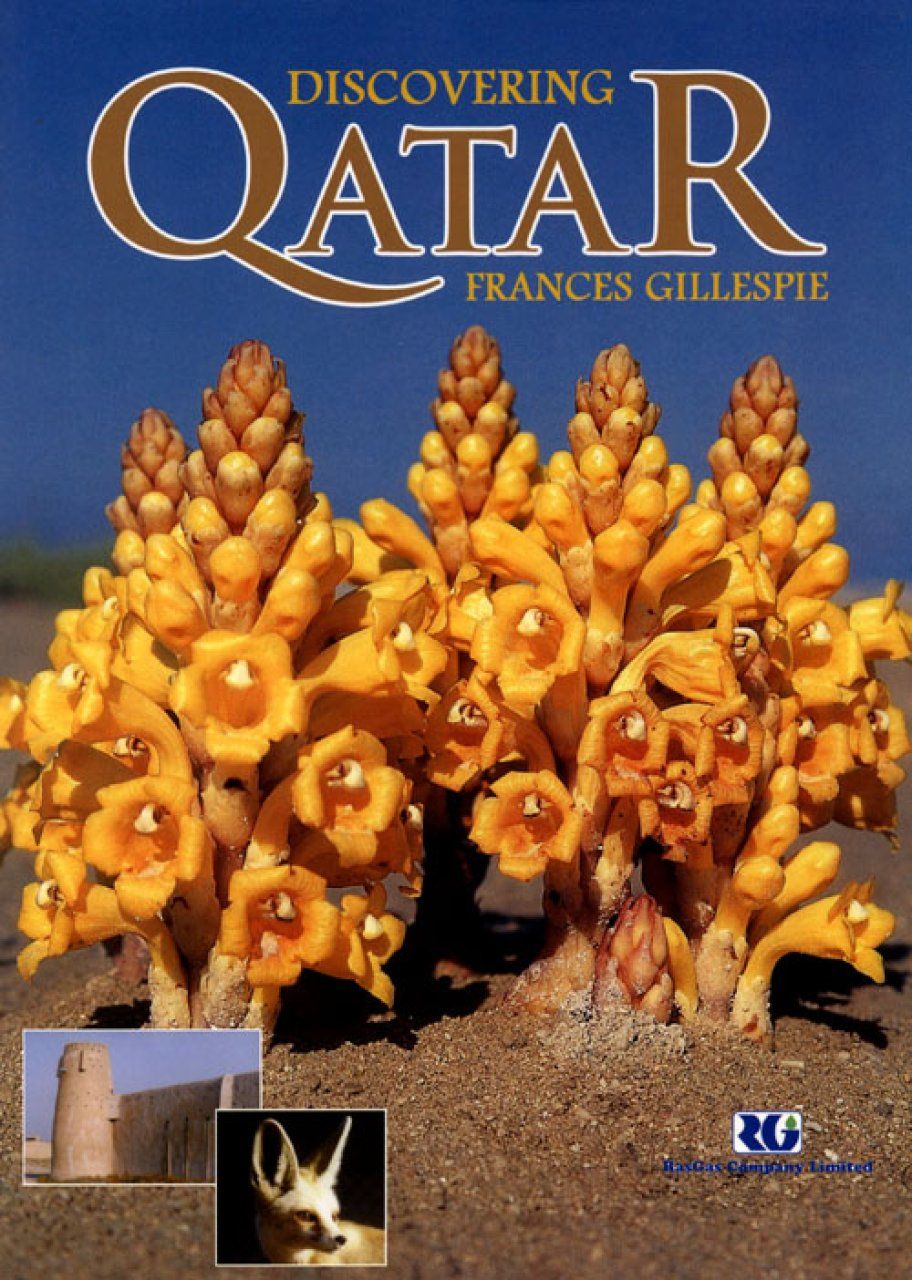 Discovering Qatar