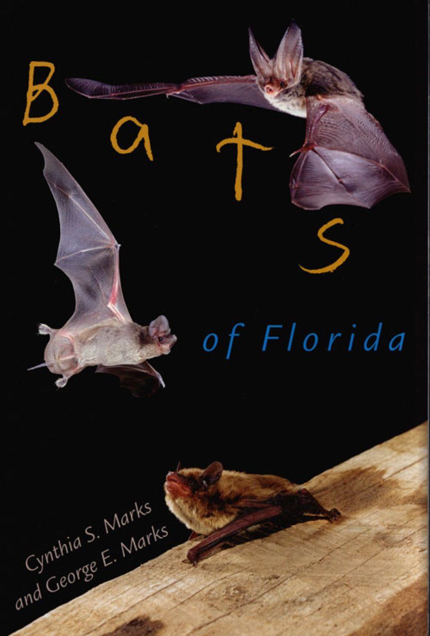 Bats of Florida