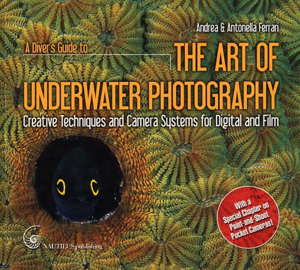 A Diver&#039;s Guide to the Art of Underwater Photography