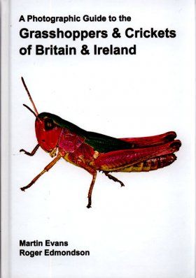 A Photographic Guide to the Grasshoppers &amp; Crickets of Britain and Ireland