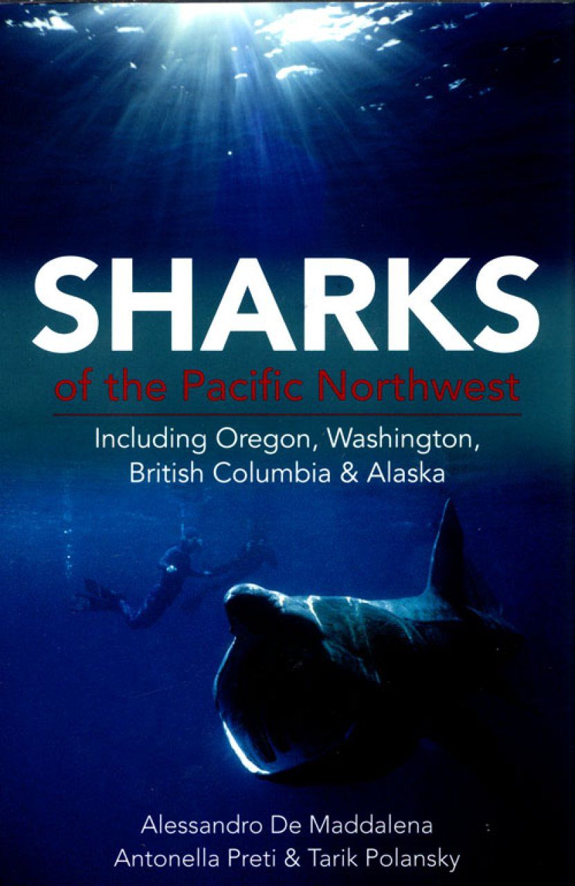 Sharks of the Pacific Northwest