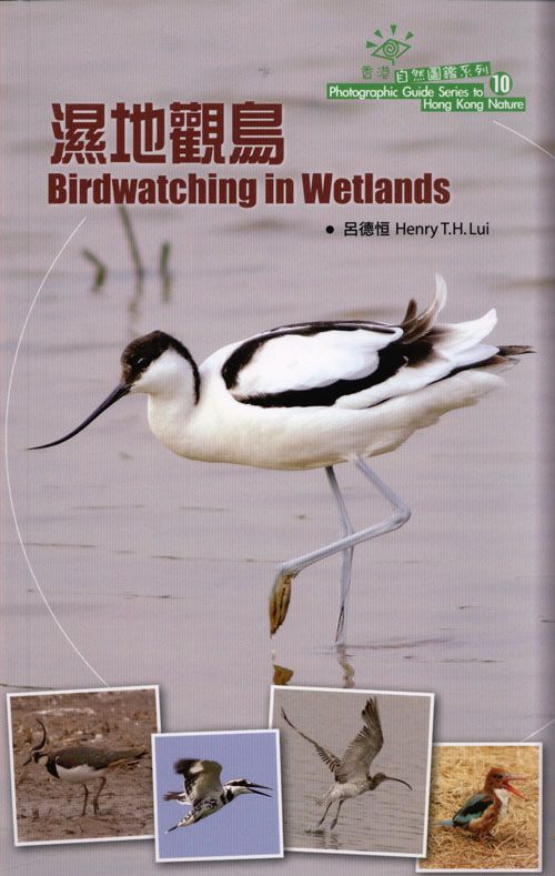 Birdwatching in Wetlands