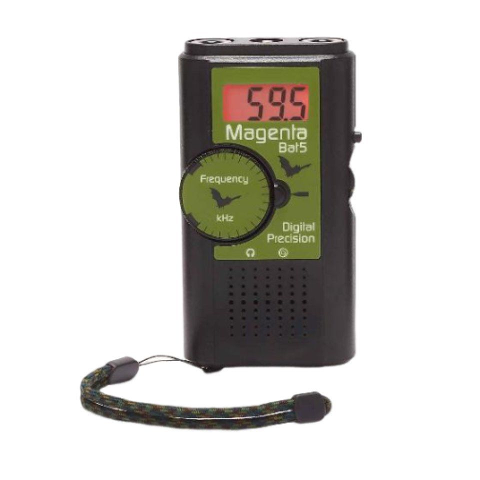 Magenta Bat 5 Bat Detector
