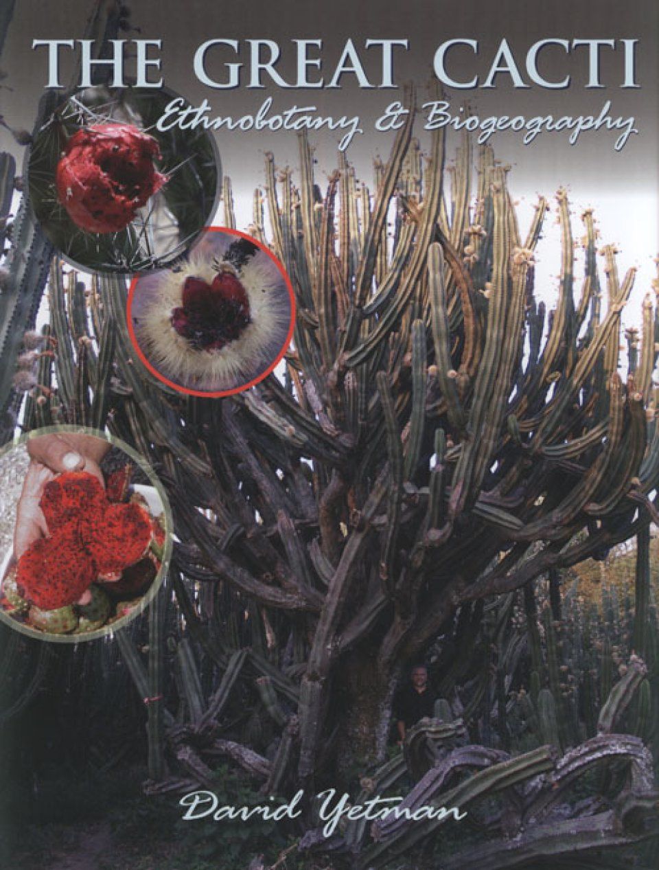 The Great Cacti