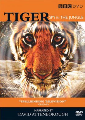 Tiger - Spy in the Jungle (Region 2 &amp; 4)