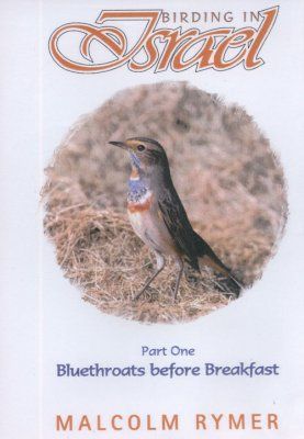 Birding in Israel, Part One (All Regions)