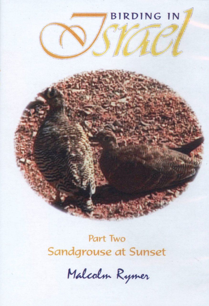 Birding in Israel, Part Two (All Regions)