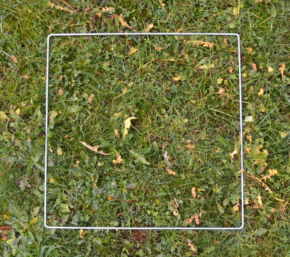 Q1 Quadrat