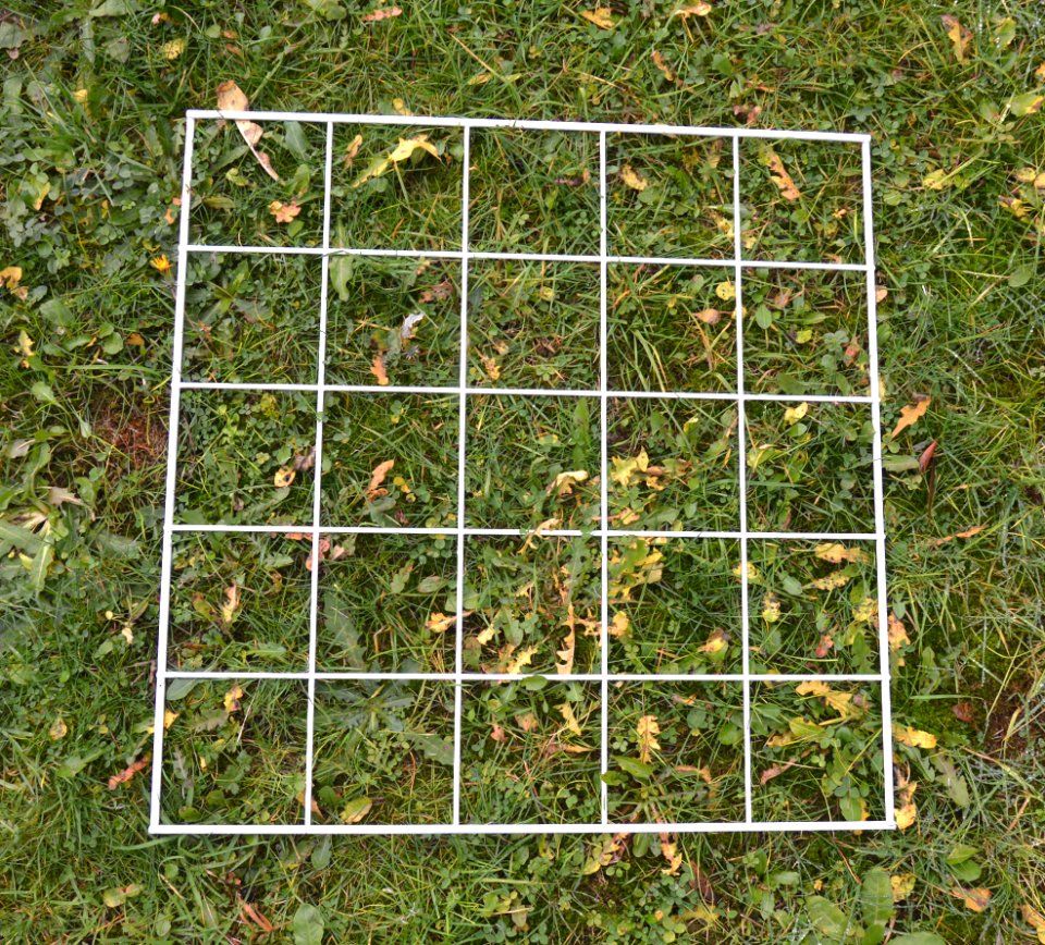 Q2 Quadrat