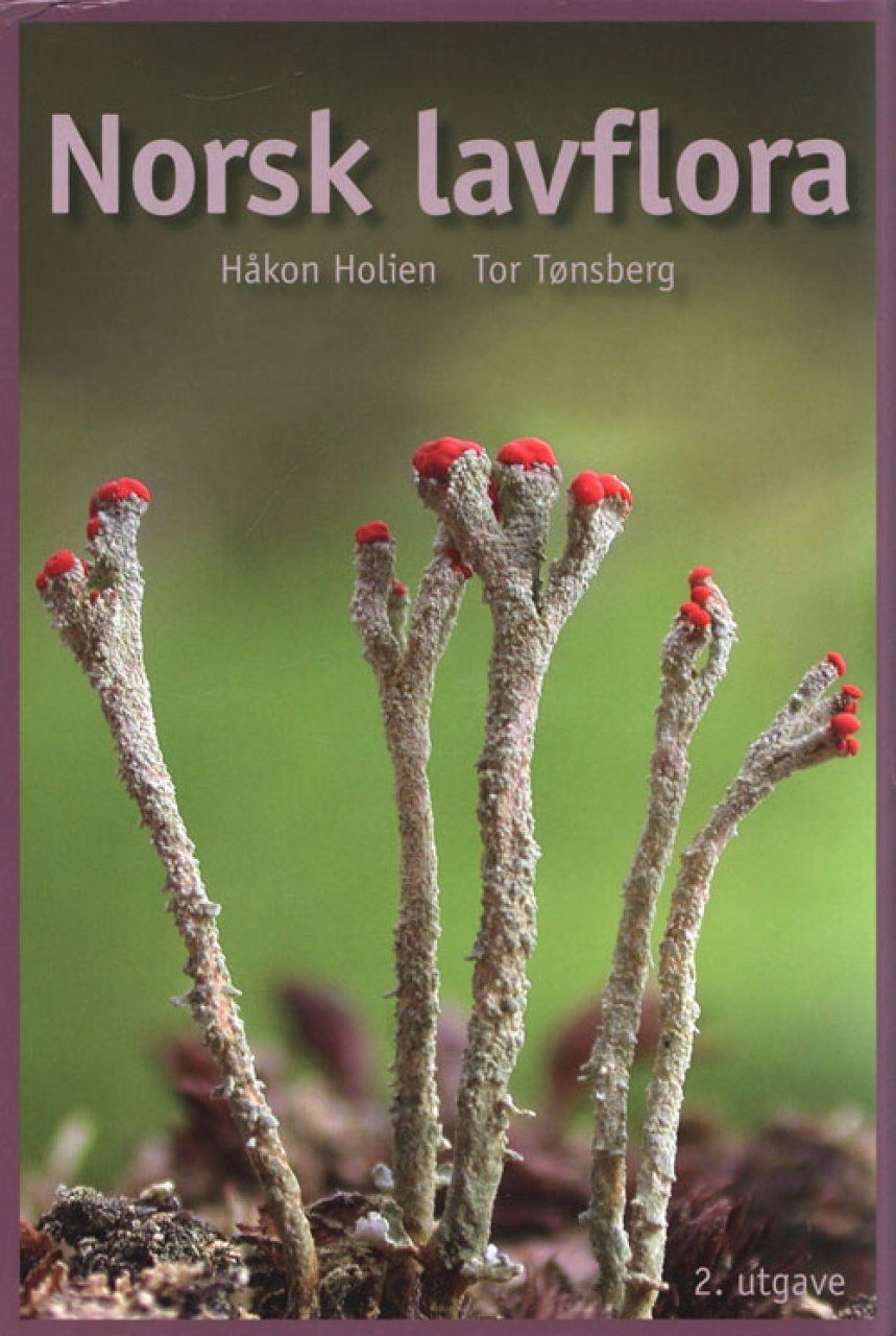 Norsk Lavflora