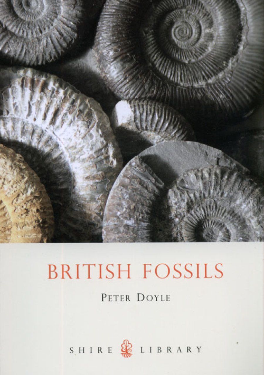 British Fossils