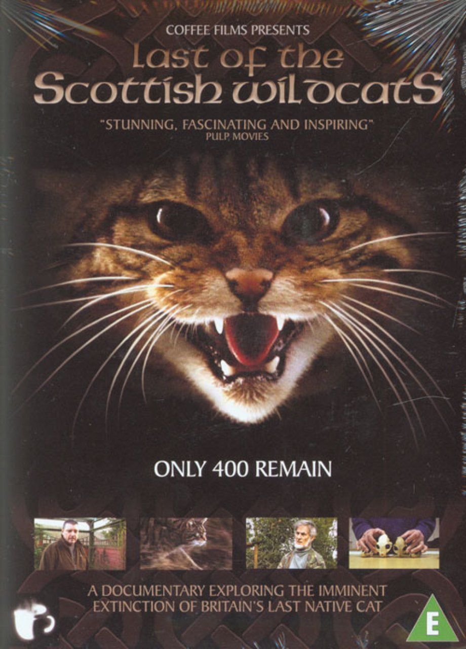 Last of the Scottish Wildcats (All Regions)