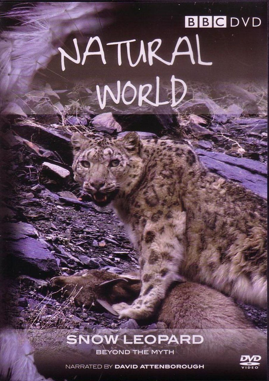 Natural World: Snow Leopard - DVD (Region 2 &amp; 4)