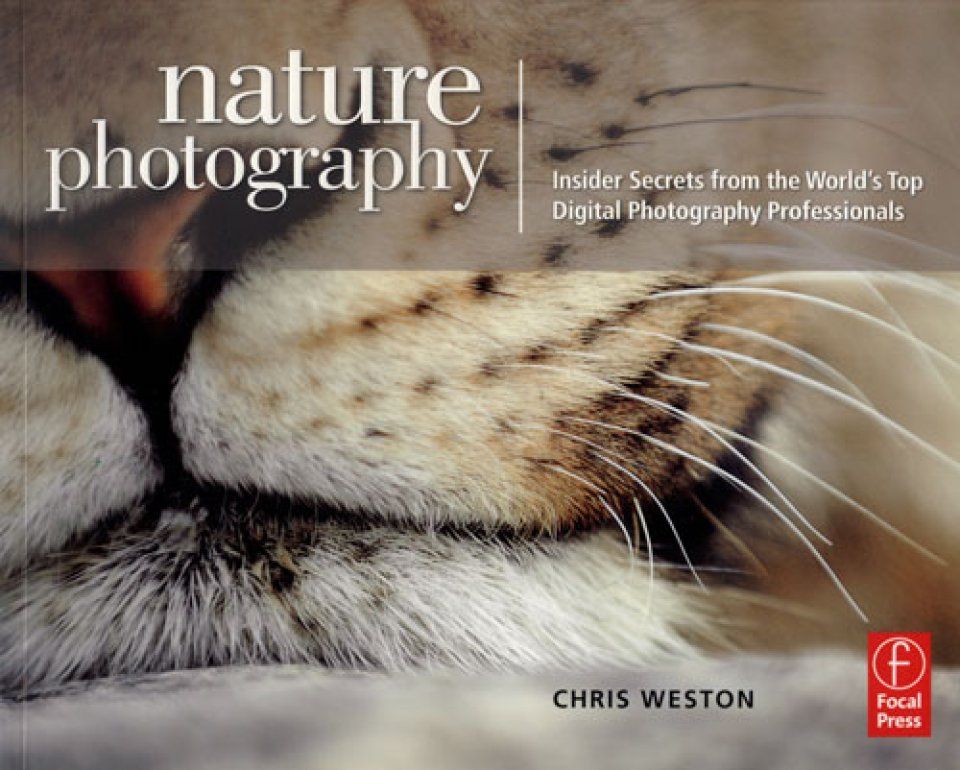 Nature Photography