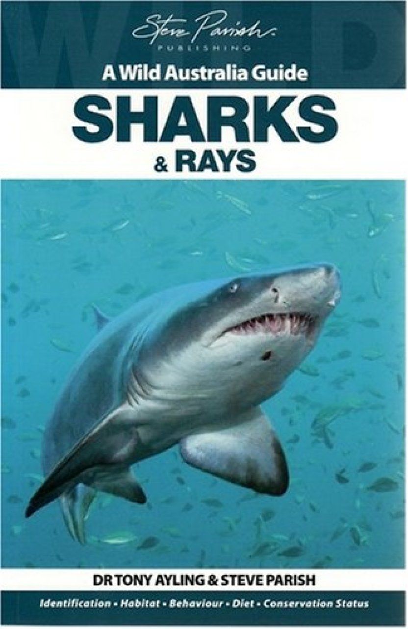 Wild Australia Guide: Sharks and Rays