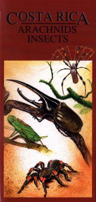 Costa Rica: Arachnids Insects [English / Spanish]
