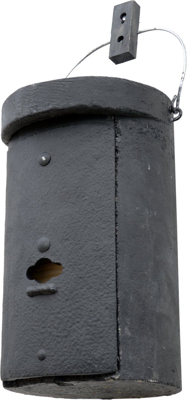 1FS Schwegler Large Colony Bat Box