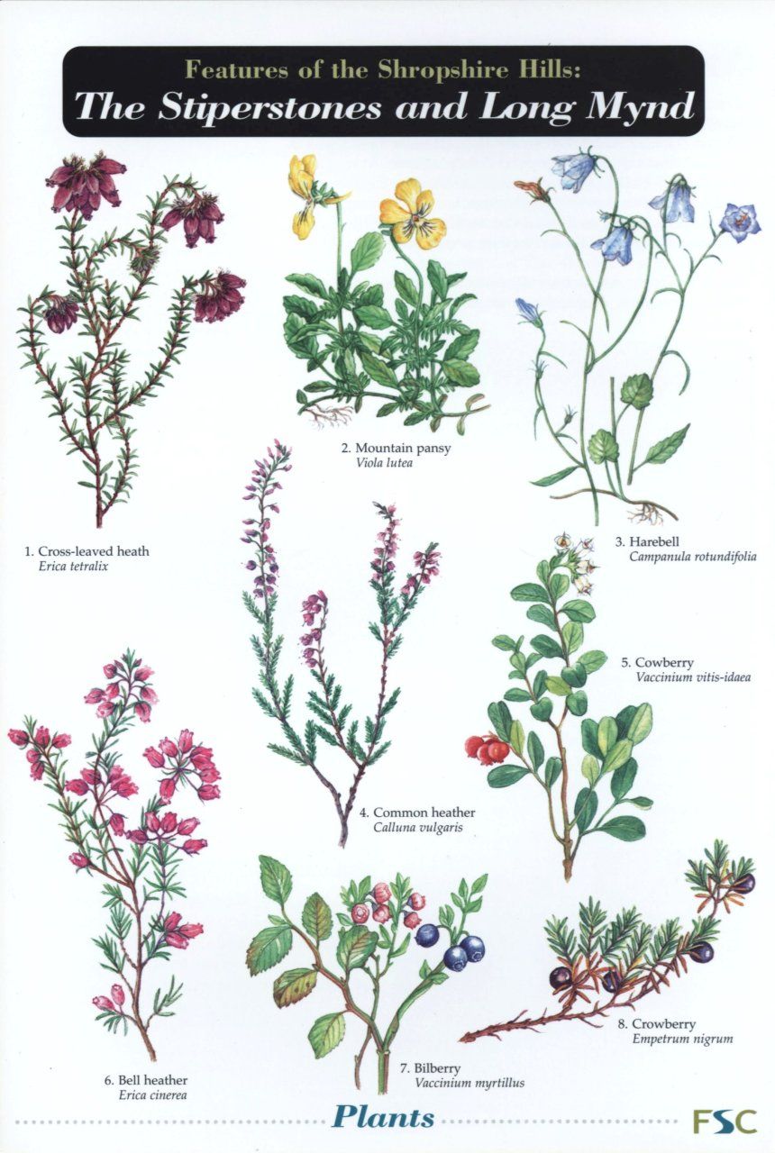 Features of the Shropshire Hills