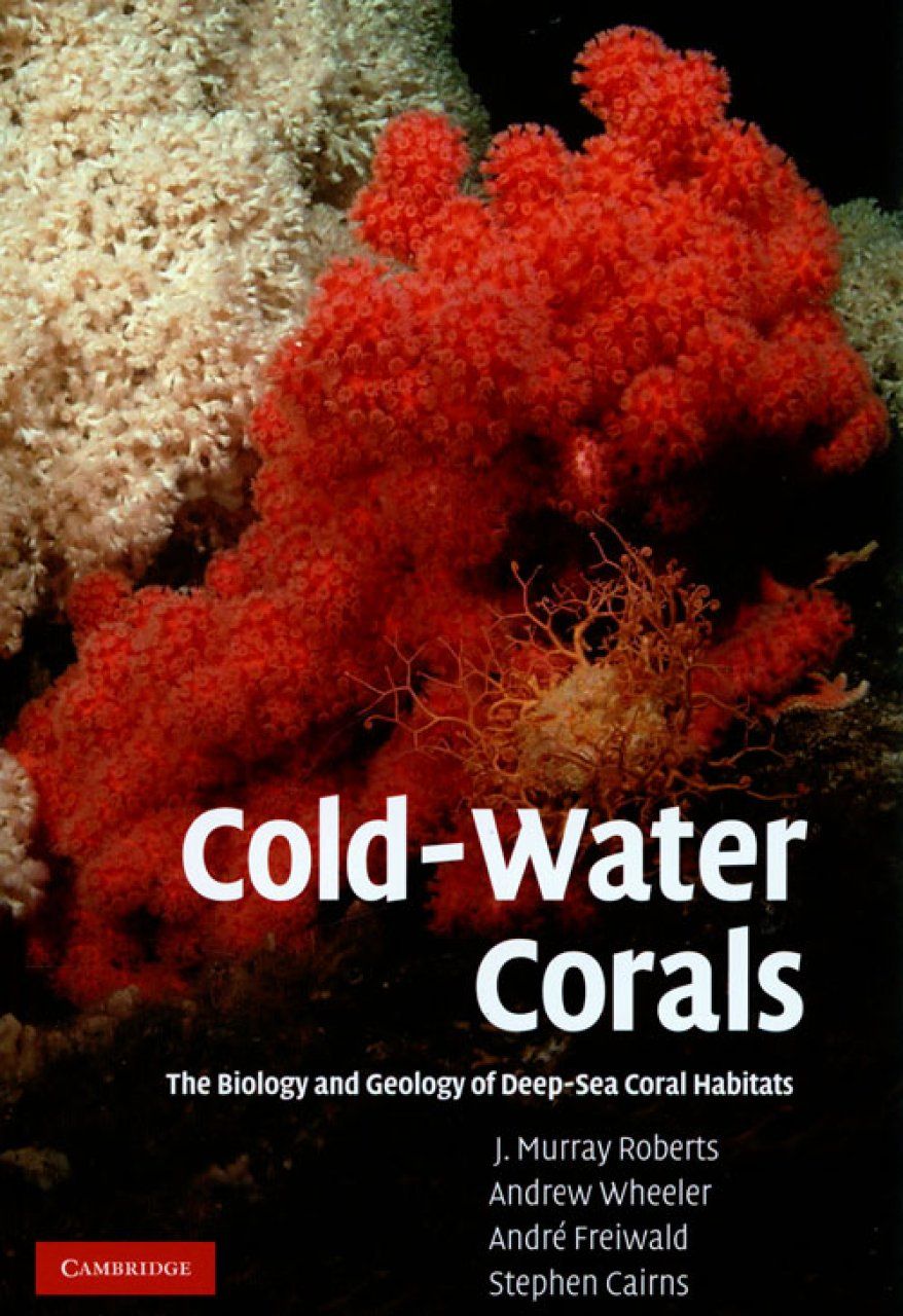 Cold-Water Corals