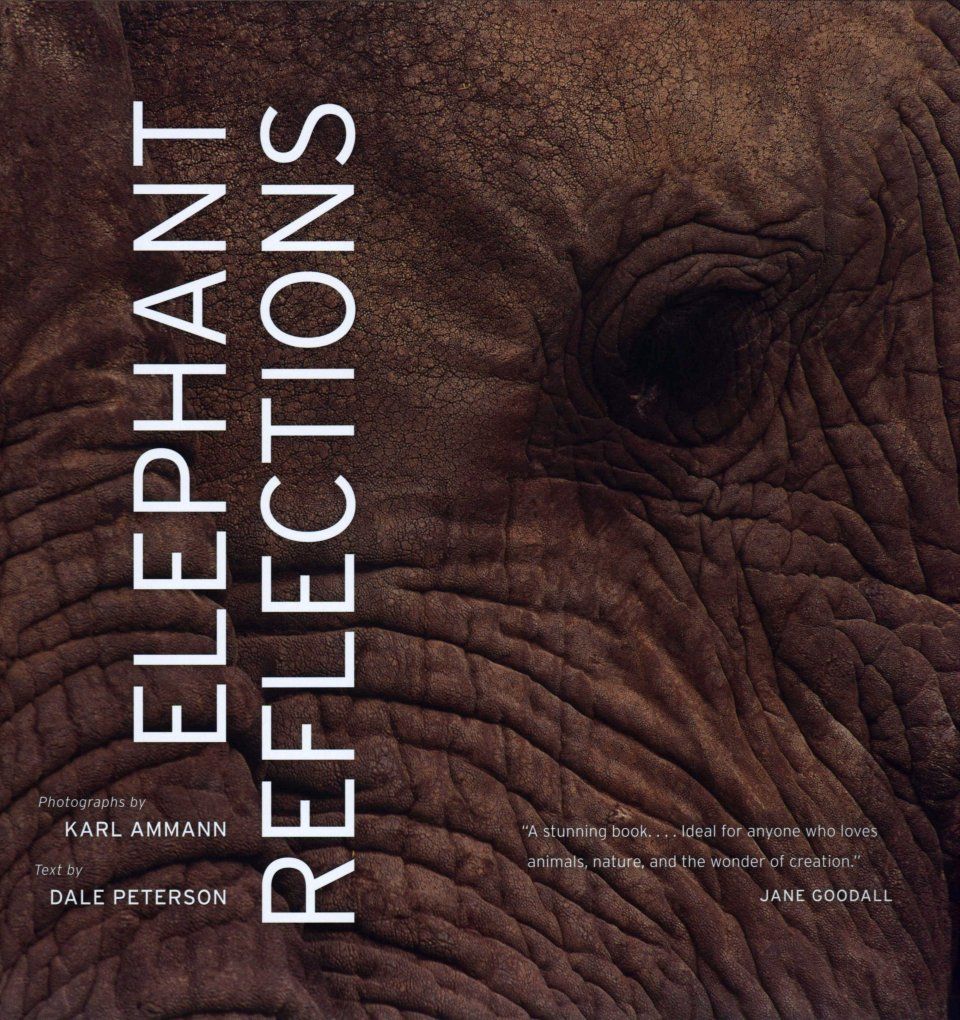 Elephant Reflections
