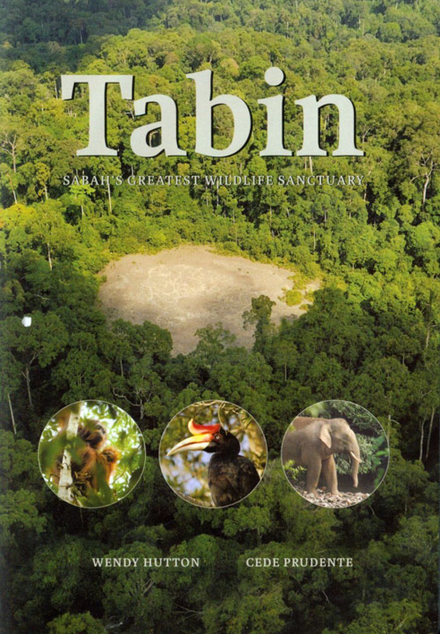 Tabin