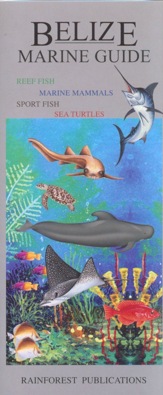Belize Marine Guide