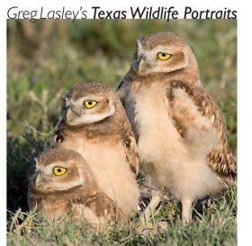 Greg Lasley&#039;s Texas Wildlife Portraits