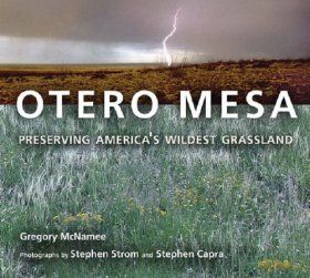 Otero Mesa