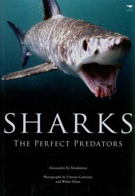 Sharks