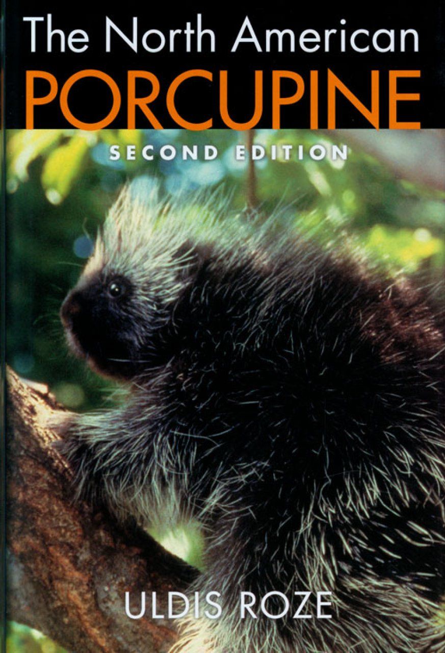 The North American Porcupine