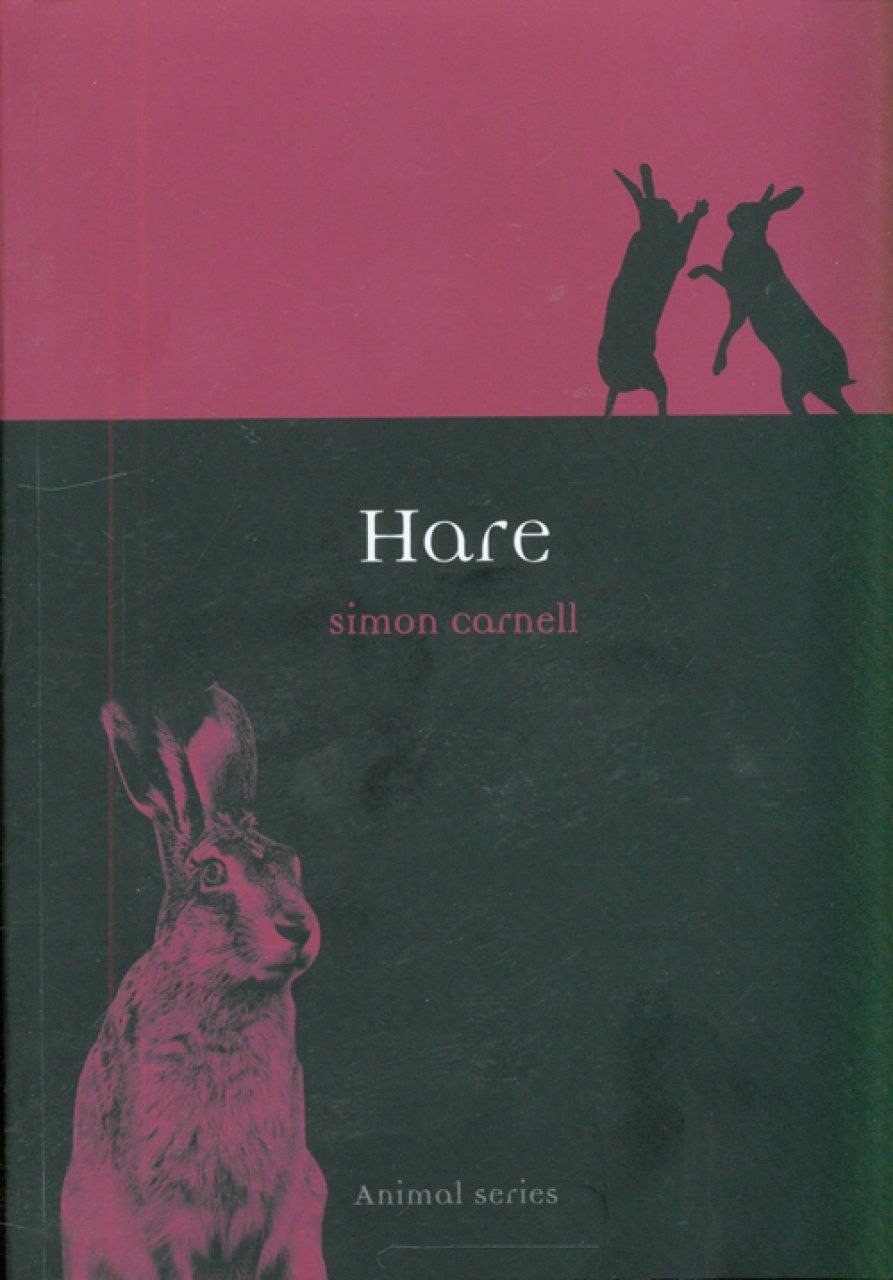 Hare