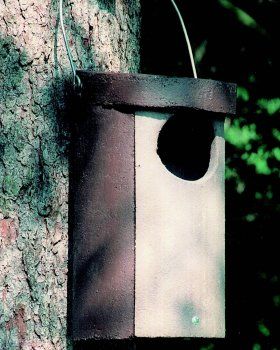 No. 5 Schwegler Owl Box
