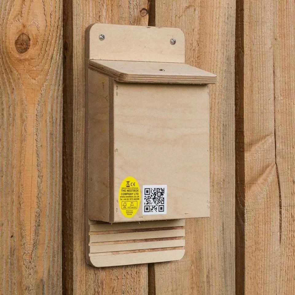Bat Box