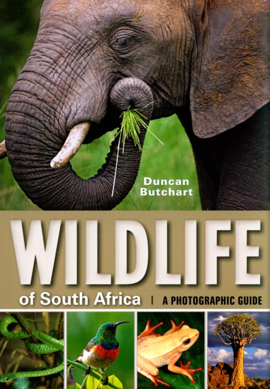 Wildlife of South Africa
