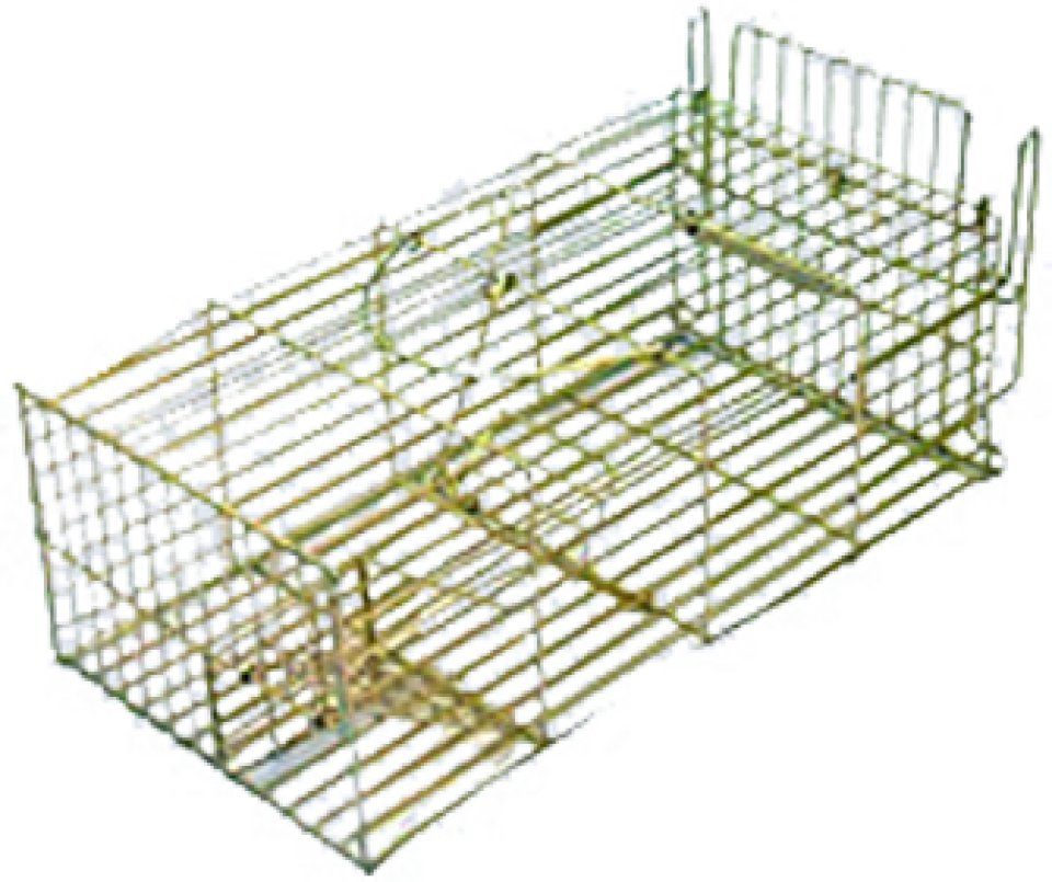 Large Rat Trap