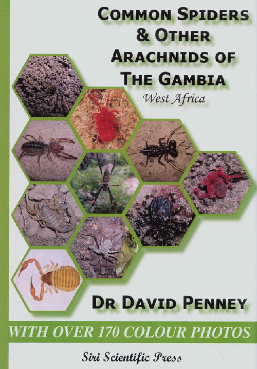 Common Spiders &amp; Other Arachnids of the Gambia, West Africa
