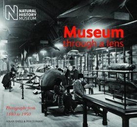 Museum Through a Lens