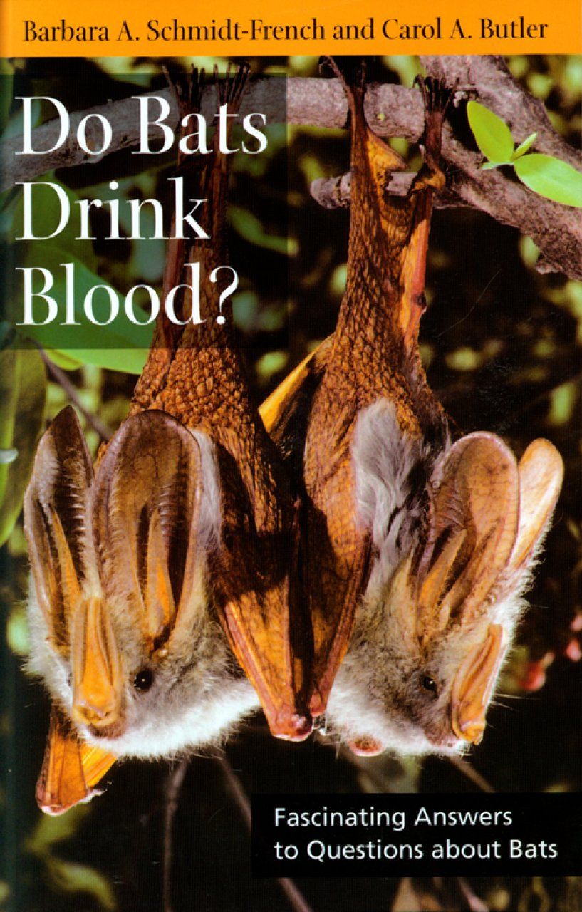 Do Bats Drink Blood?