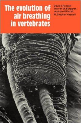 The Evolution of Air Breathing in Vertebrates