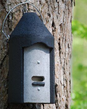 2F Schwegler Bat Box with Double Front Panel