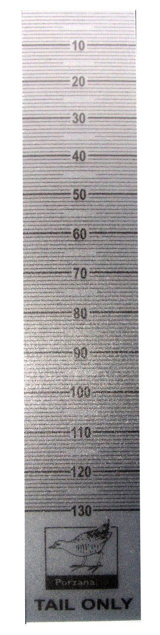 130mm Clear Plastic Bird Tail Rule