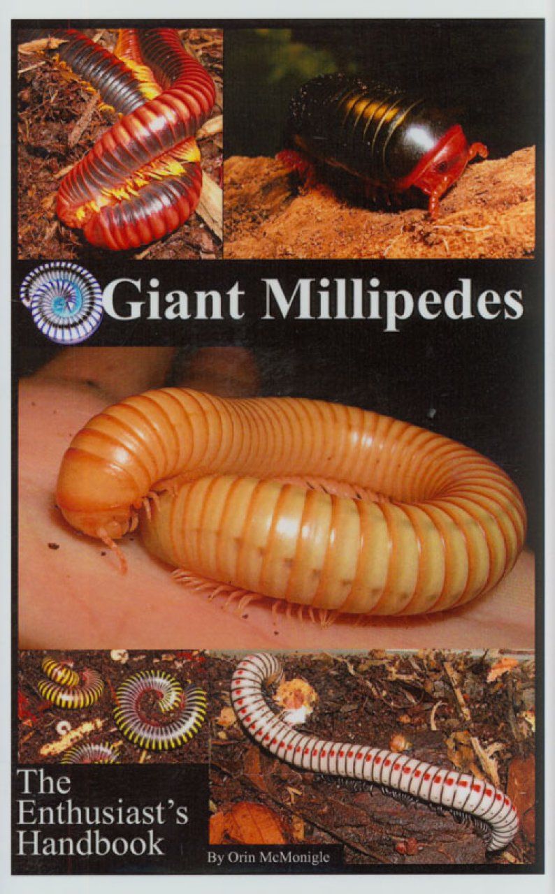 Giant Millipedes