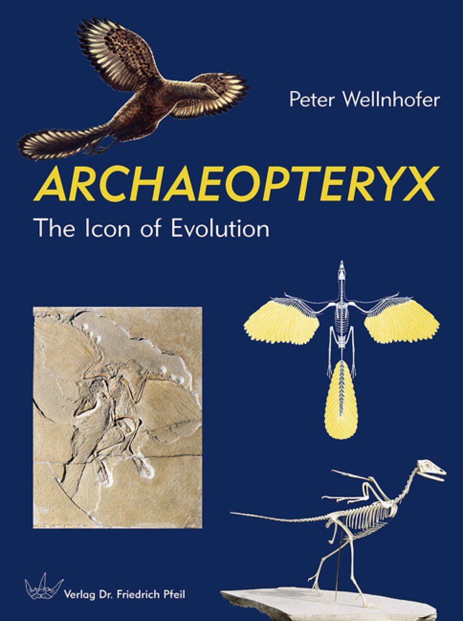 Archaeopteryx