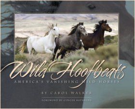 Wild Hoofbeats