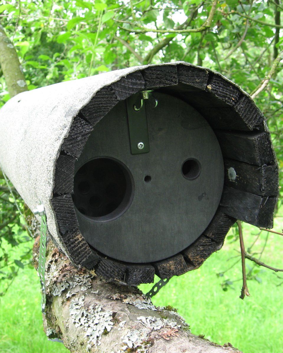 Schwegler Little Owl Box 20B