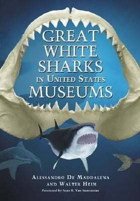 Great White Sharks in United States Museums