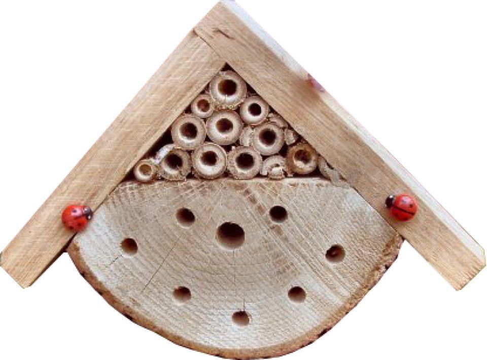 Bug Box