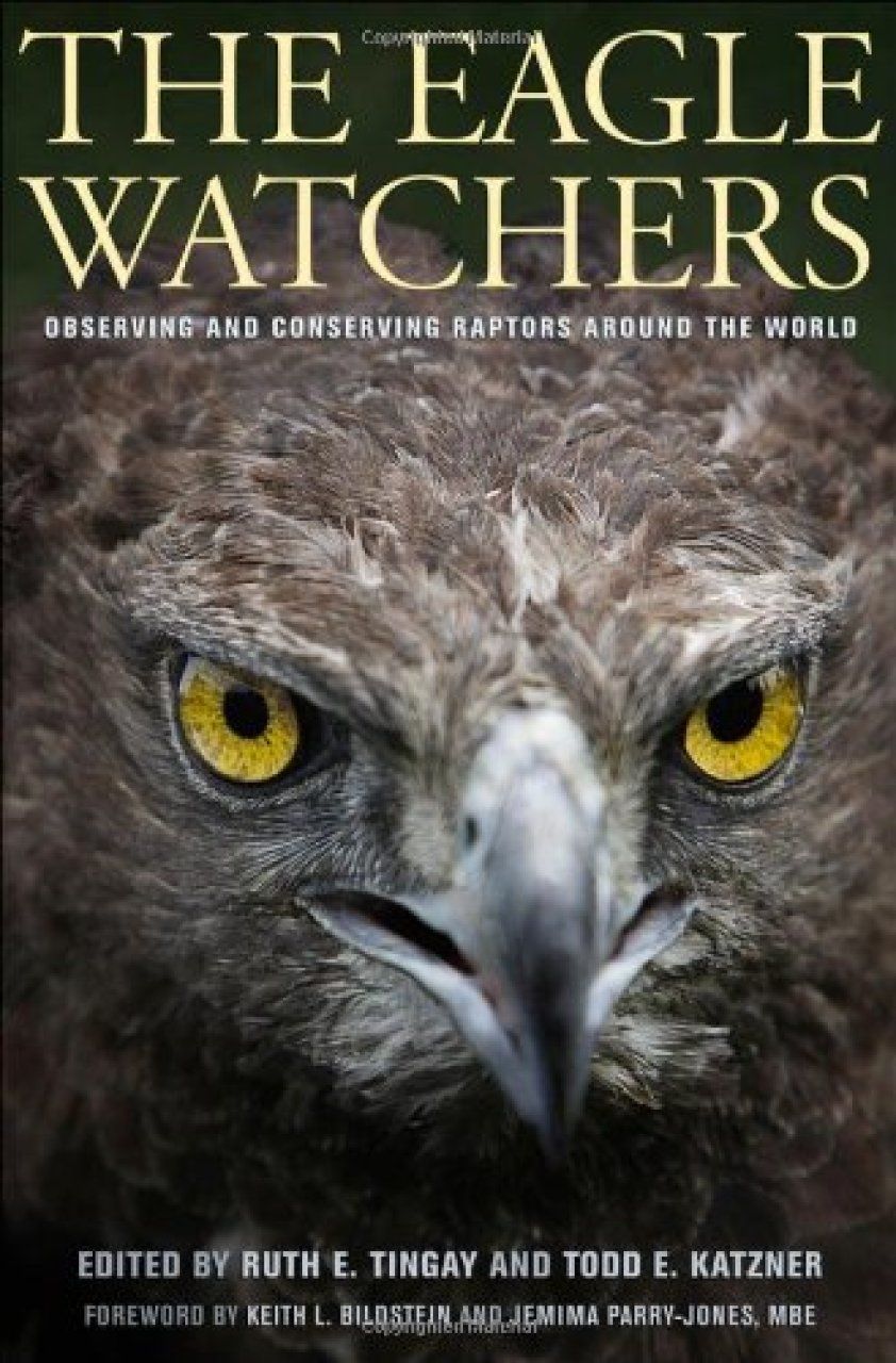 The Eagle Watchers