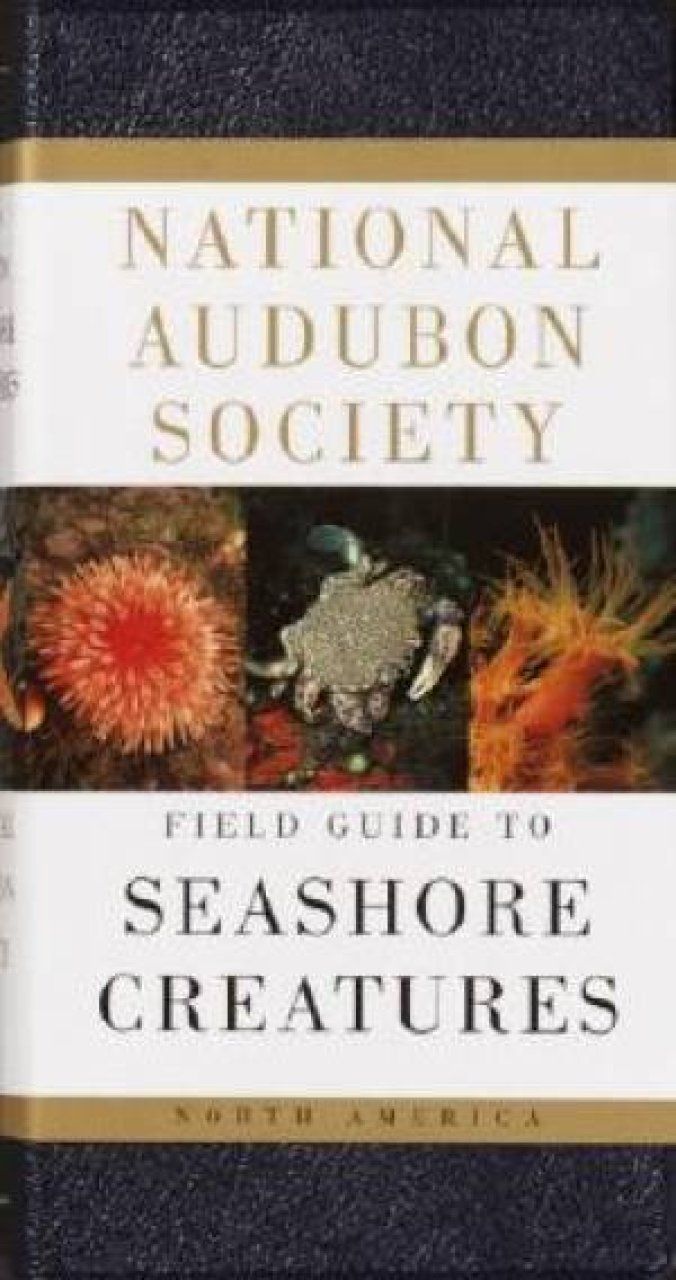 National Audubon Society Field Guide to North American Seashore Creatures